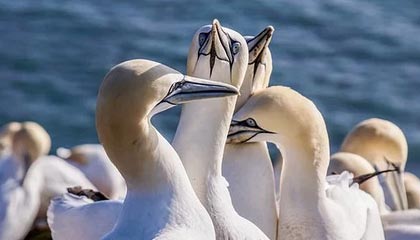 pp模拟器-华体会——开启全新体育娱乐体验