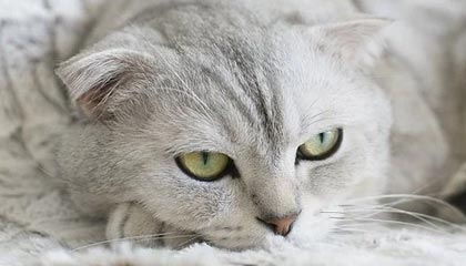 pp电子官网-Kaiyun开云官方网站中国登录：开启云端智慧之门