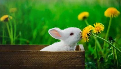 pp电子官网-Kaiyun开云官方网站中国登录：开启云端智慧之门